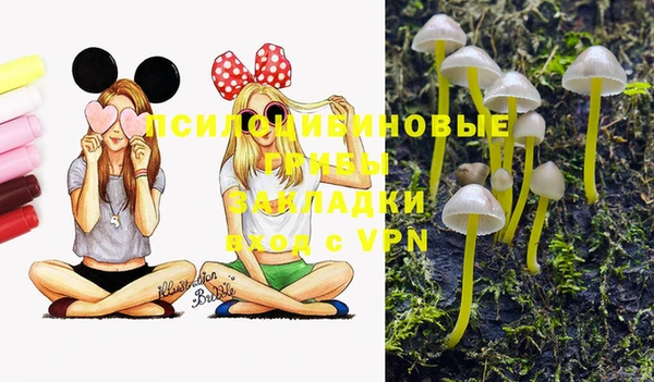 мдпв Абаза