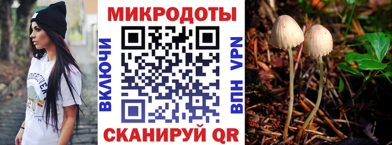 Псилоцибиновые грибы Psilocybine cubensis  Фокино 